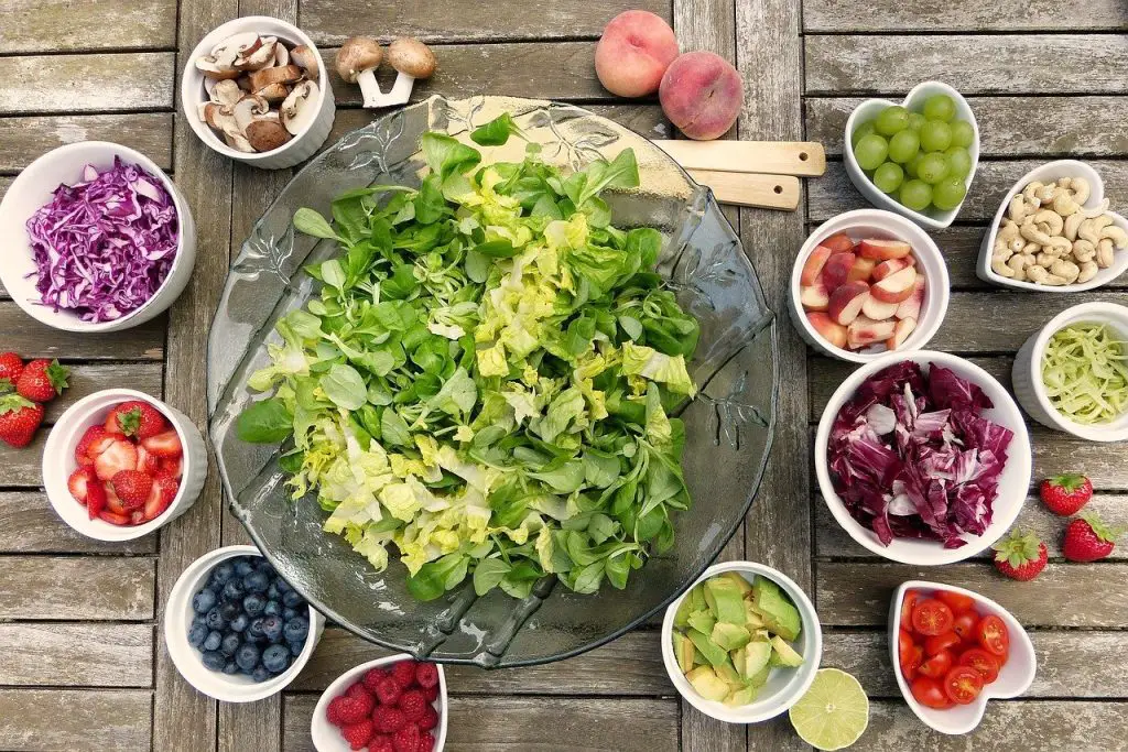 10 disadvantages of vegetarian diet essay